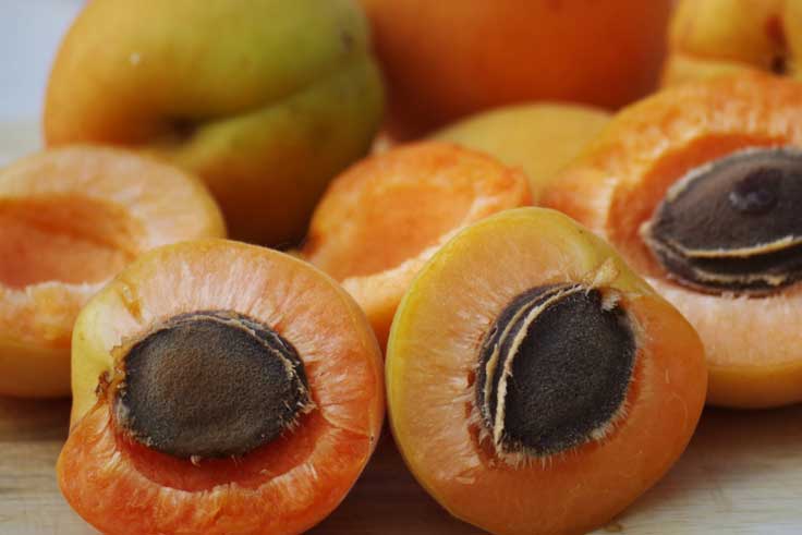 Aprikosenkerne in der Yogatherapie und alternativen Krebsbehandlungsunterstützung 