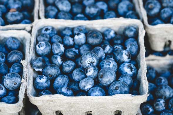 Esst euch gesund! Heidelbeeren als echtes Superfood auch in der Krebsvorsorge 